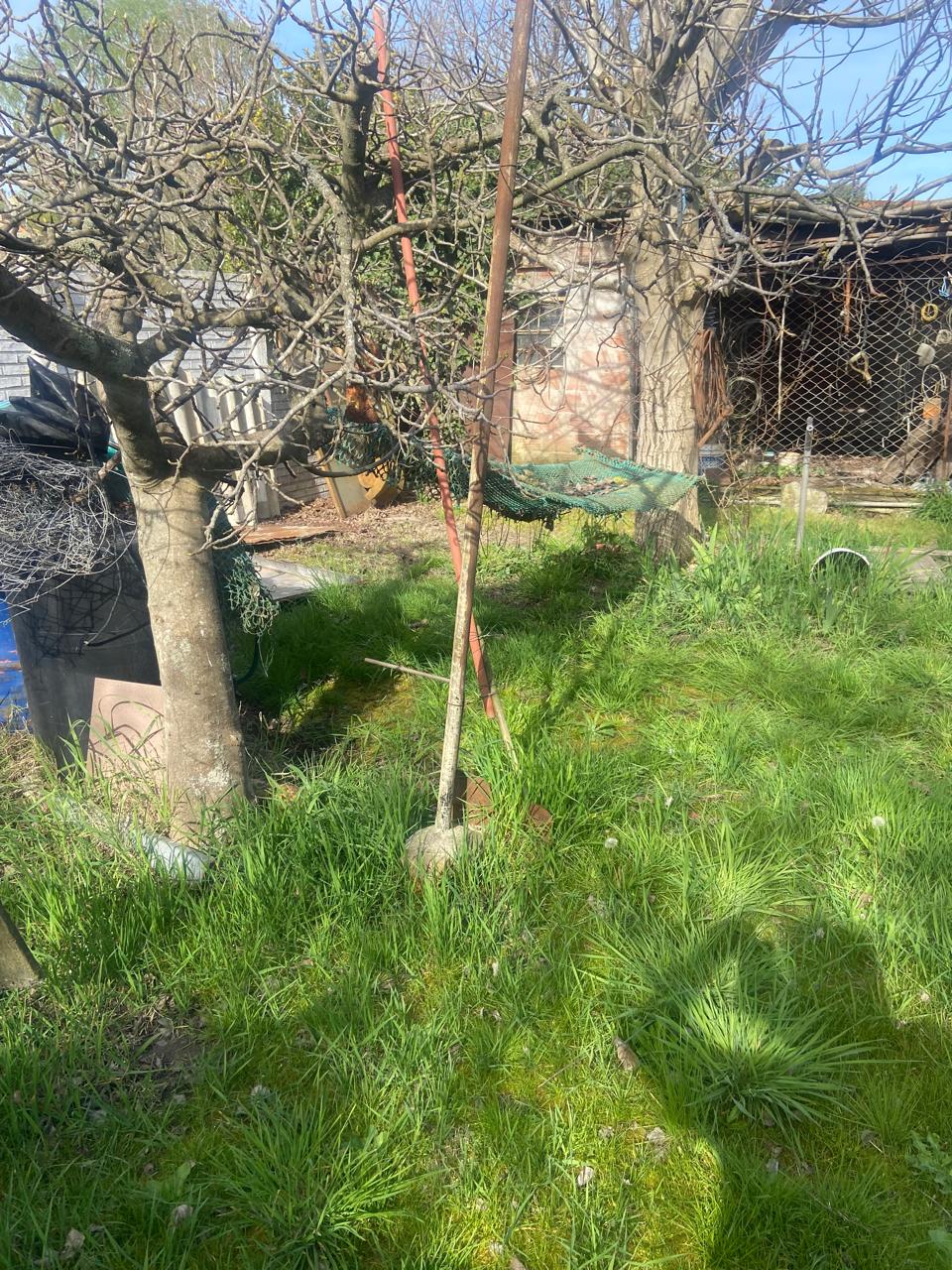 Imagen de la propiedad